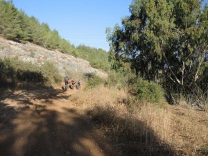 נחל נטוף