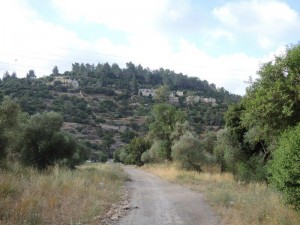 מנזר יוחנן במדבר