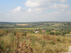 דרכי יער מודיעין בדרך לגימזו