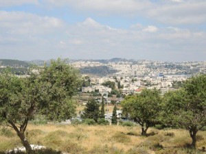מבט על שכונת תלפיות בדרום העיר מרמת רחל