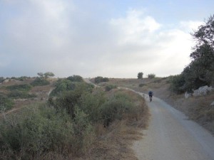 תצפית מערבה מרמת גודד
