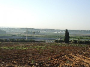 מבט על אבוס השרון