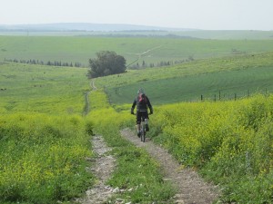 עמיקם במשעולי ישראל