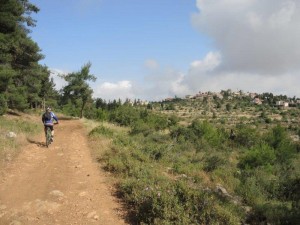 היישוב הר אדר ממול לדרך בלב יער הסתדרות המורים