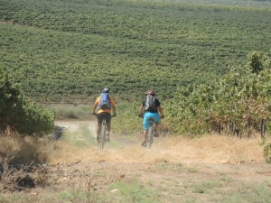 ירידה דרומה לכיוון נחל השלושה והלאה חזרה לעבר חולדה