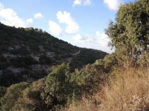 בירידה אל פיתול הדרך מעל נחל יגור