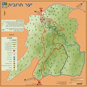 יער חרובית