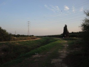 בדרך לאורך הגדה הדרומית של נחל משמרות