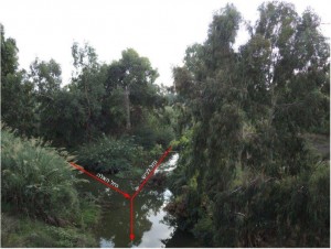 מפגש הנחלים לכיש והאלה