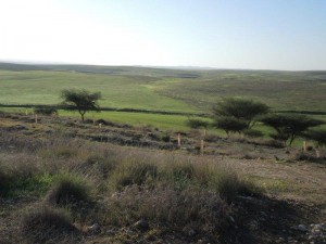 המרחב הפתוח מאופק לאופק