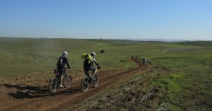 lachish05122015