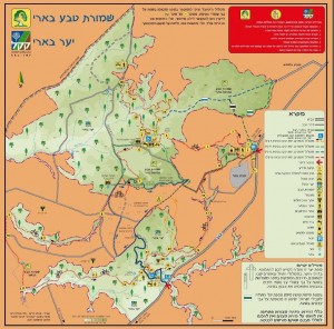 יער בארי ושמורת בארי
